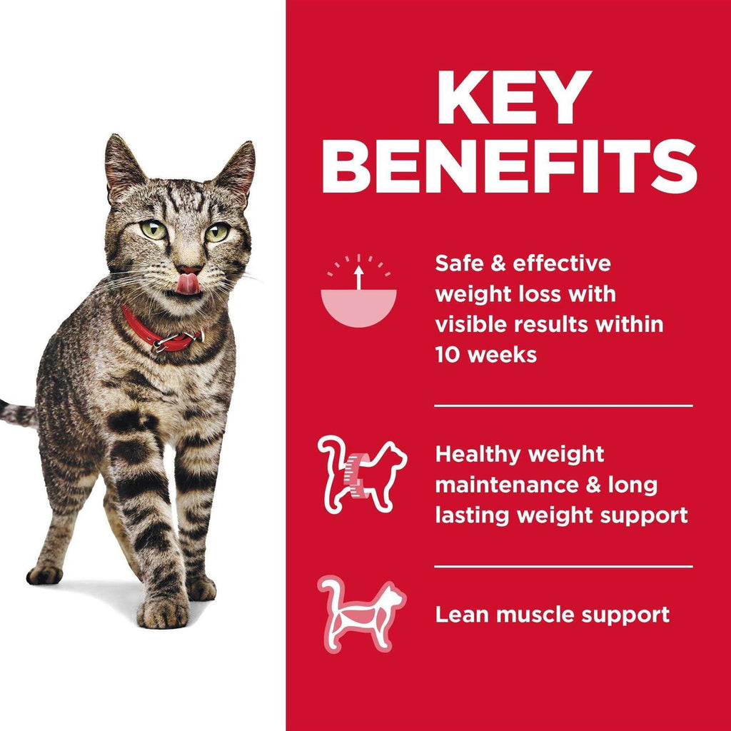 Adult Perfect Weight Cat Food I230807