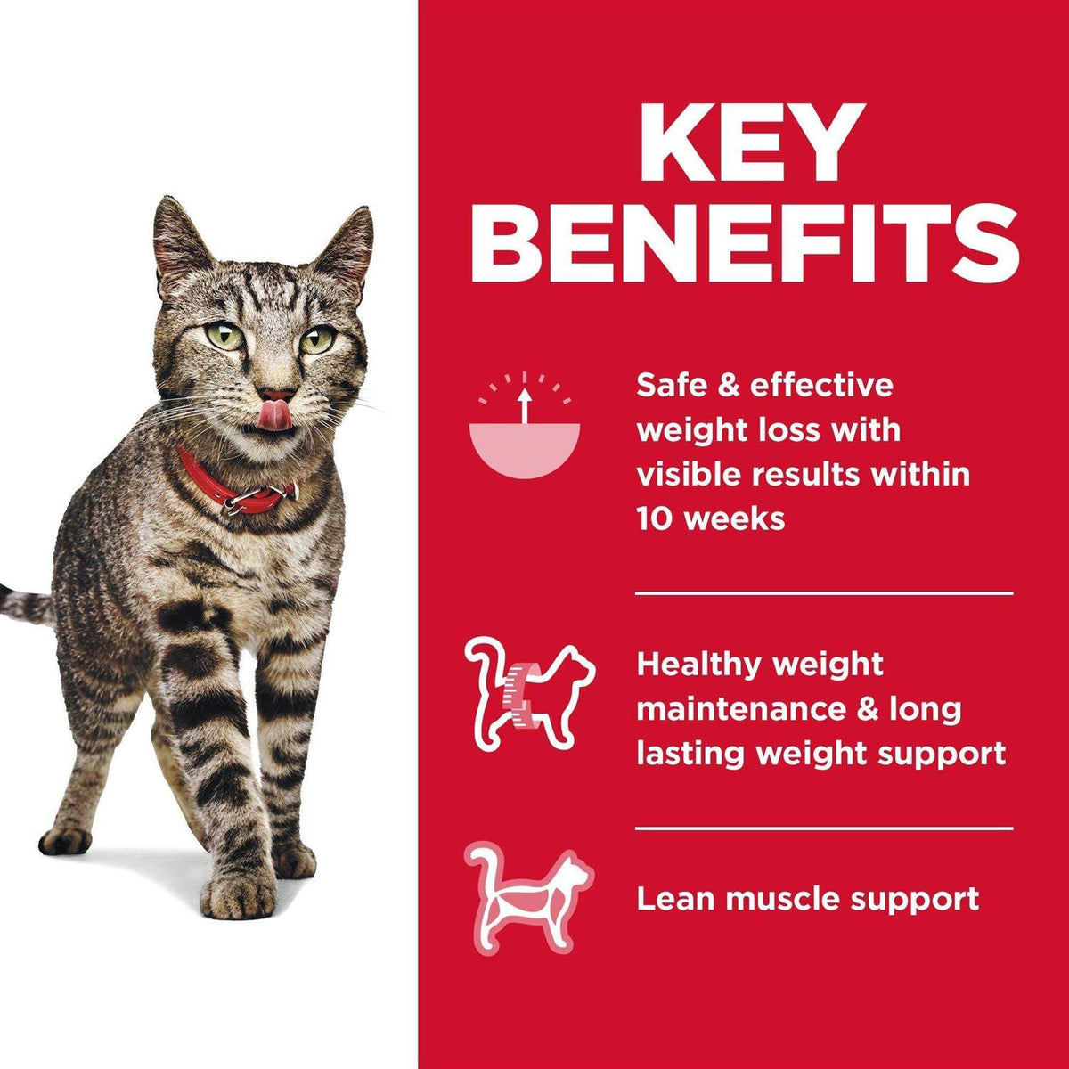 Adult Perfect Weight Cat Food I230807