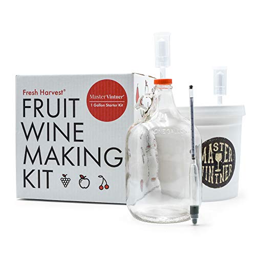 One Gallon Fruit Wine Making Kit G953
