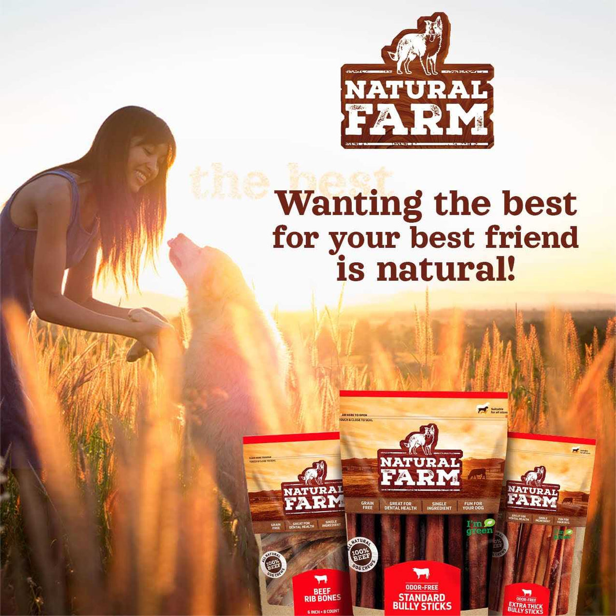 Beef Trachea Dog Chews S9631