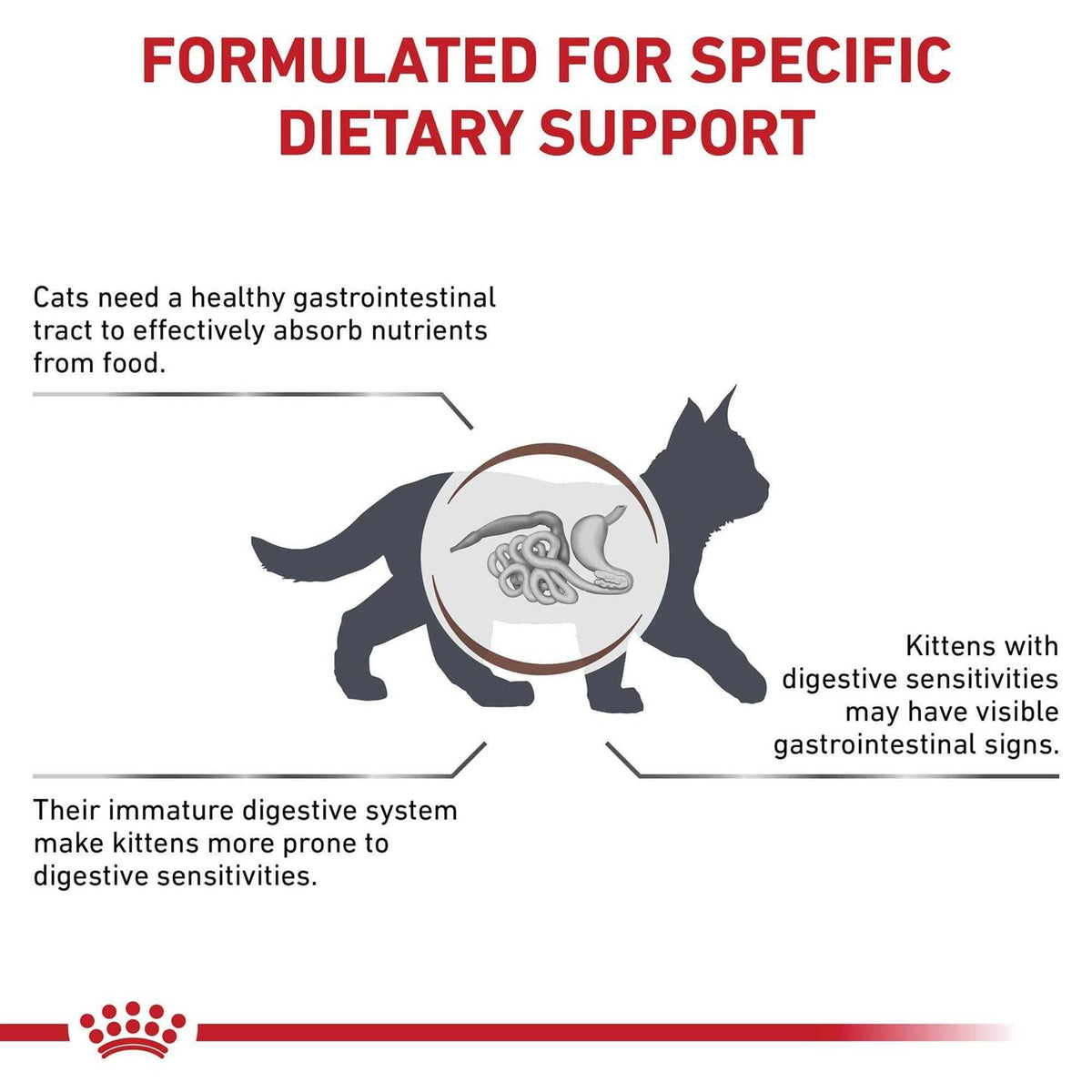 Kitten Dry Cat Food M6384