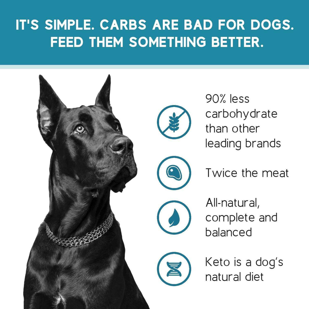 Chicken Recipe Adult Dry Dog Food Low Carb High Protein V407