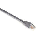 Patch Cable RJ-45 D32709
