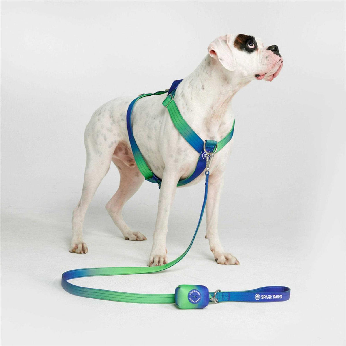 No-Pull Dog Harness Z385090