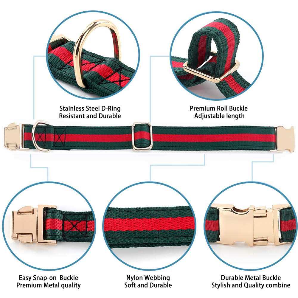 Adjustable Dog Collar with Metal Buckle O737