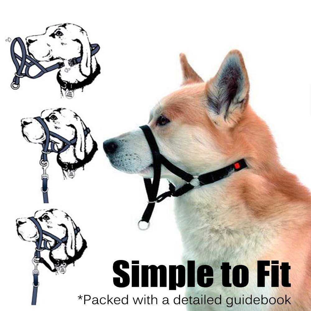Dog Head Collar No Pull Training Tool F560