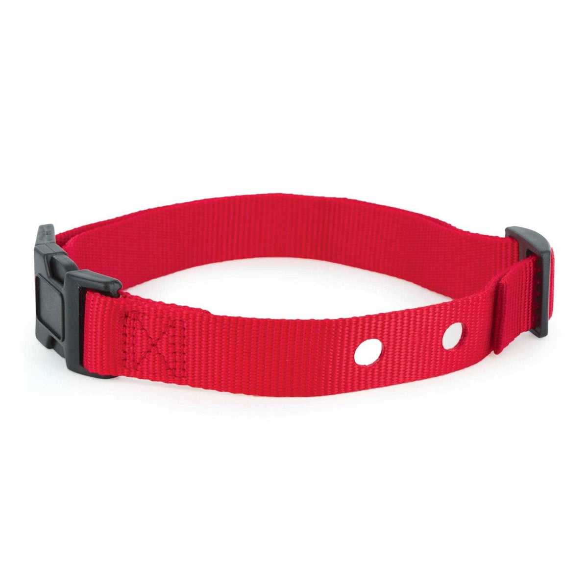 1 Inch Replacement Collar Strap E439