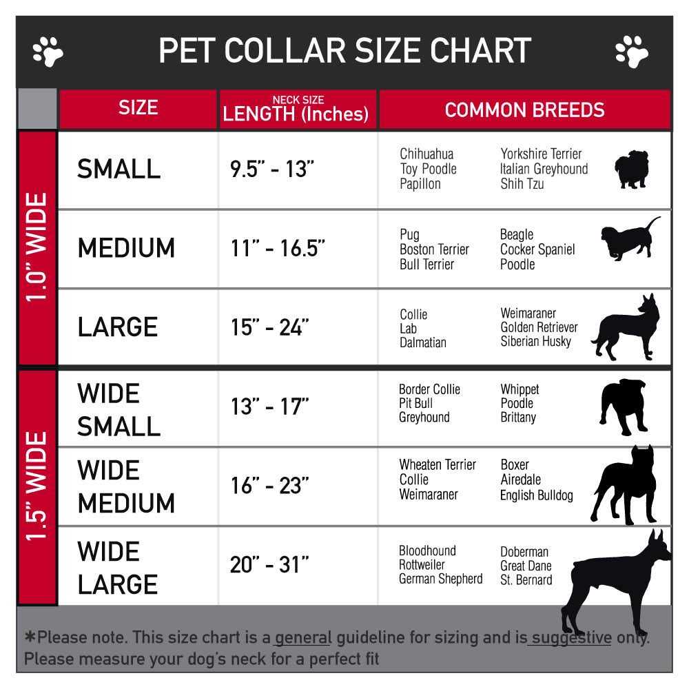 Seatbelt Dog Collar I23853