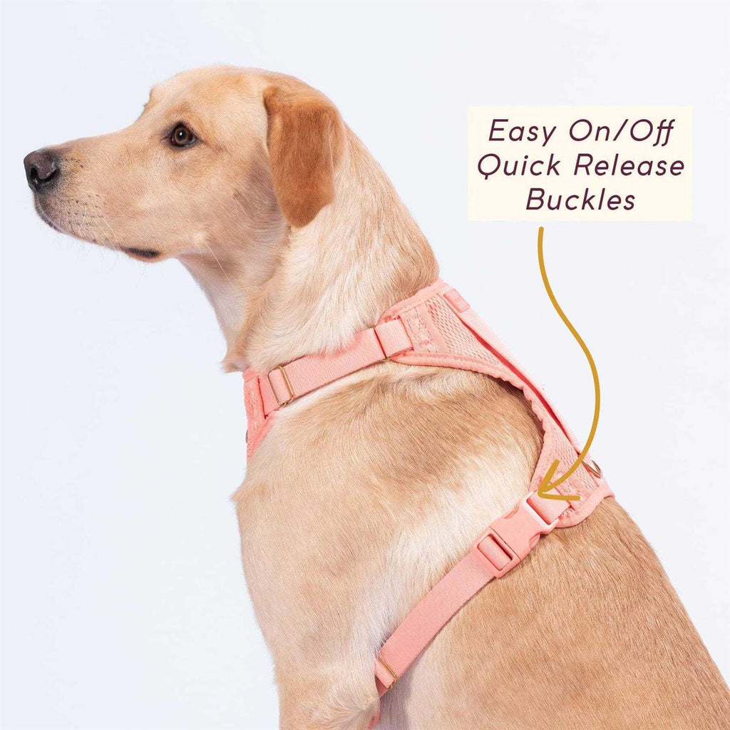 Pet Supplies F163
