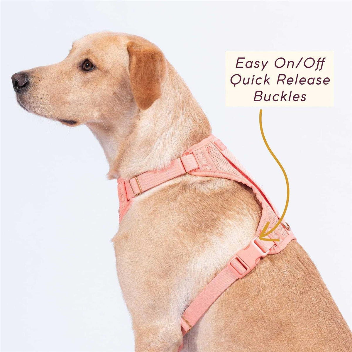 Pet Supplies F163