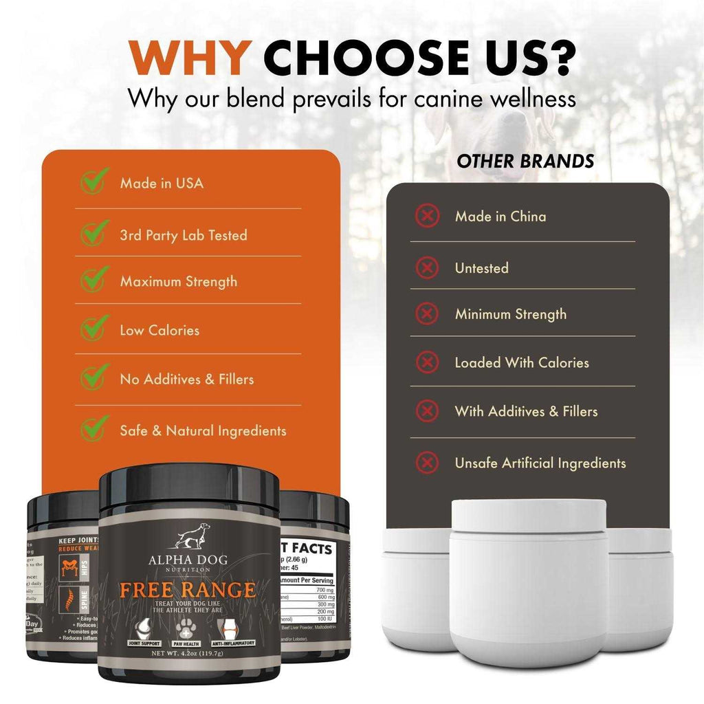 Hip & Joint Supplement for Dogs B339822