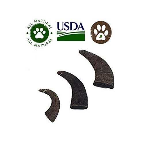 Natural Water Buffalo Horns Dog Treats W11204