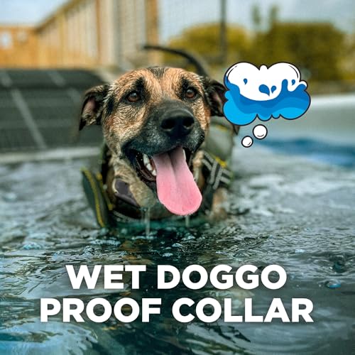 Tan Waterproof Rechargeable Dog Training Collar with Remote I5227