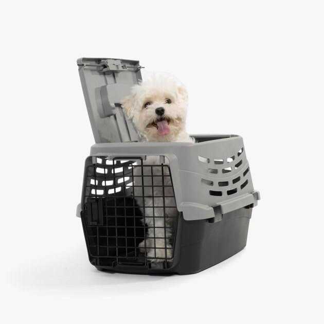 Small Pet Travel Carrier with Front and Top Access Q5793