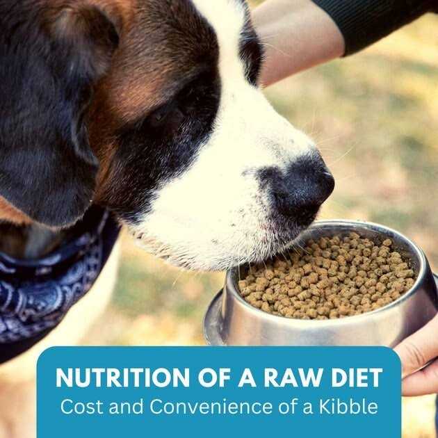 Chicken Recipe Adult Dry Dog Food Low Carb High Protein V407