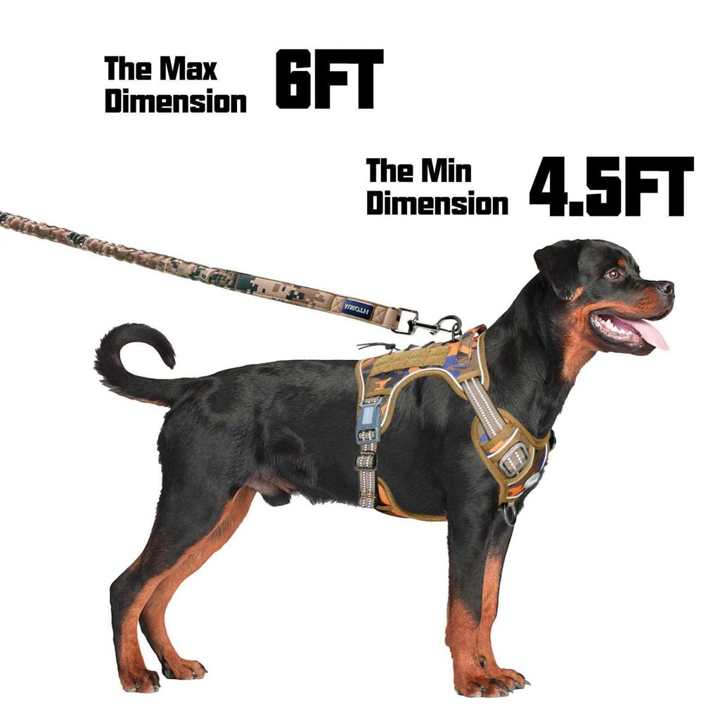 Heavy Duty Bungee Dog Leash V902331