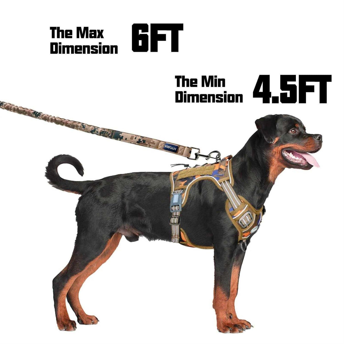 Heavy Duty Bungee Dog Leash V902331
