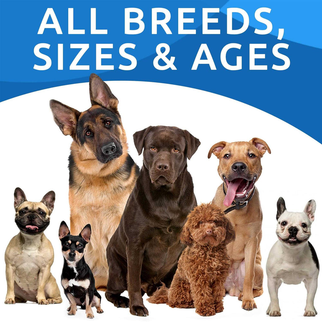 Dog Allergy Relief Chews Skin & Coat Supplement Z891525