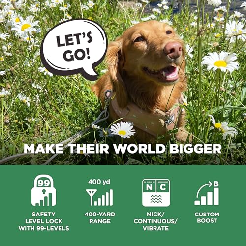 Tan Waterproof Rechargeable Dog Training Collar with Remote I5227