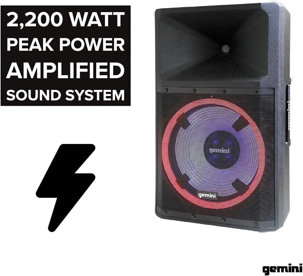 Indoor Outdoor Bluetooth Speaker with 15 Inch Woofer X91307