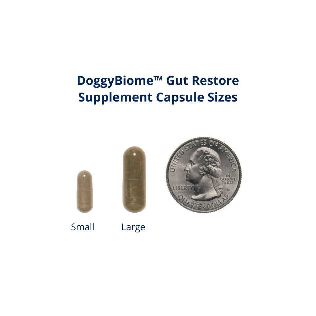 30 Capsules Supplement E36042