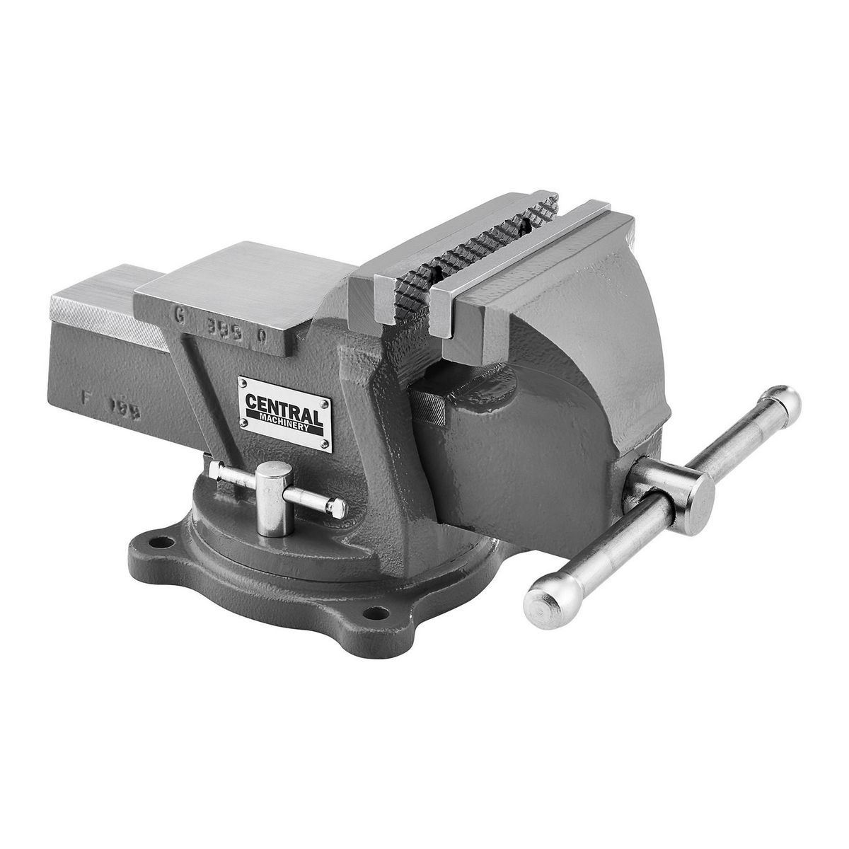 5 in. Swivel Vise with Anvil A21856