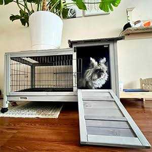 Rabbit Hutch Bunny Cage Guinea Pig House with Wheels B97852