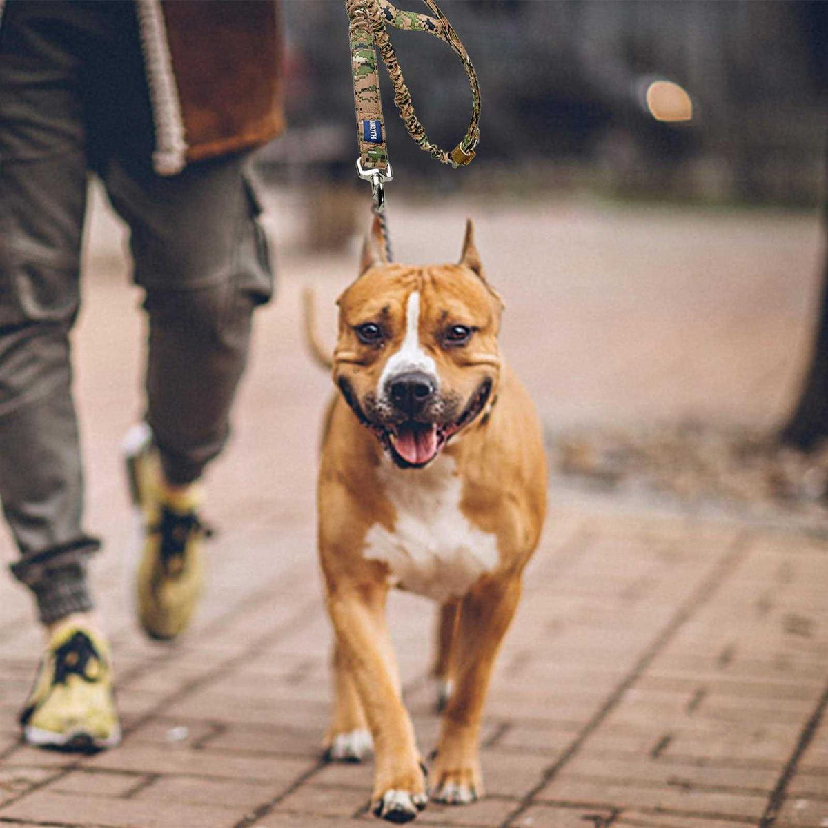 Heavy Duty Bungee Dog Leash V902331