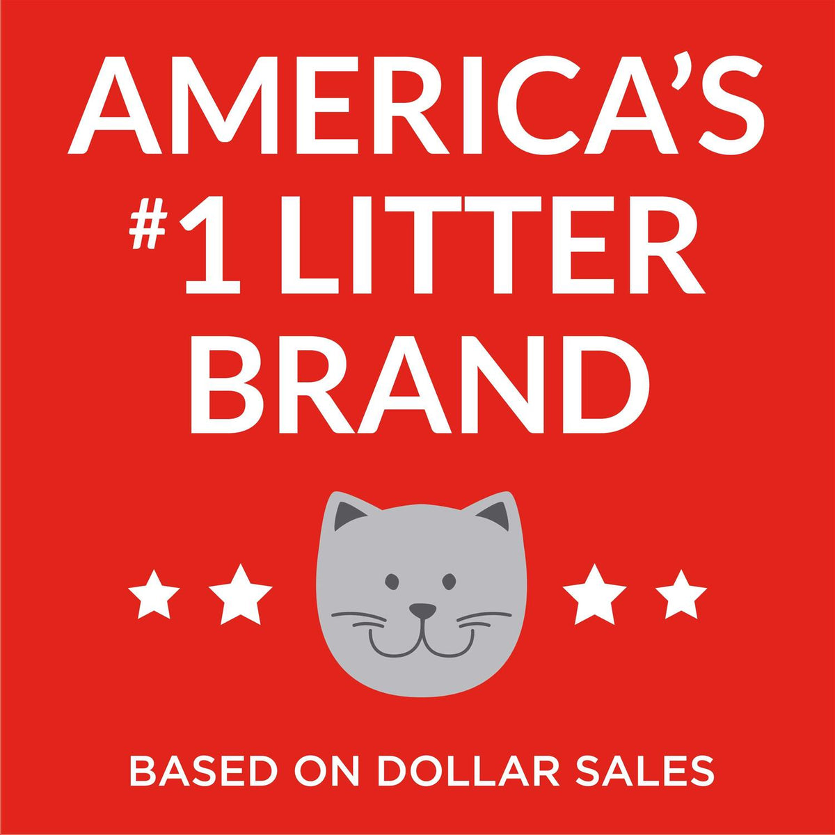Non-Clumping Cat Litter O87939