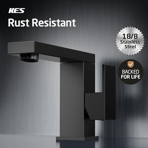 Matte Black Stainless Steel Swivel Bathroom Faucet L59896