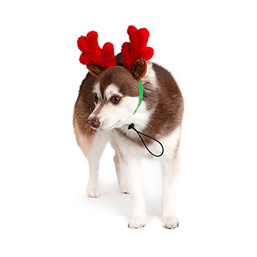 Christmas Reindeer Small Dog Antlers X243336
