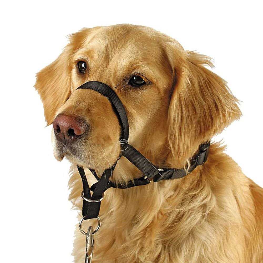 Dog Head Collar No Pull Training Tool F560