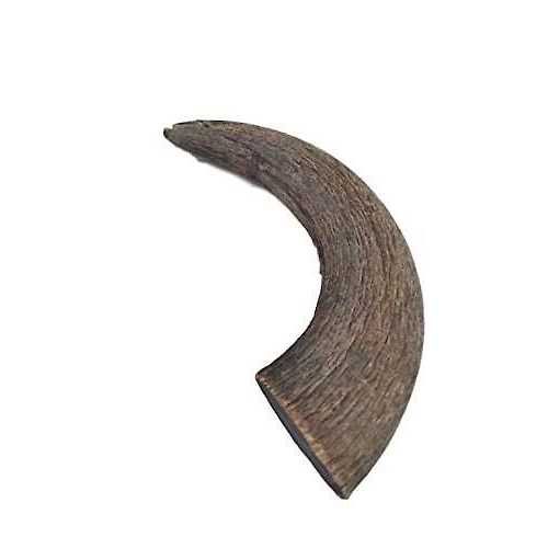 Natural Water Buffalo Horns Dog Treats W11204