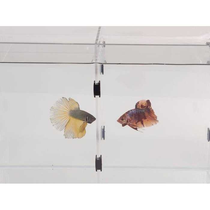 Aquarium Dividers O912