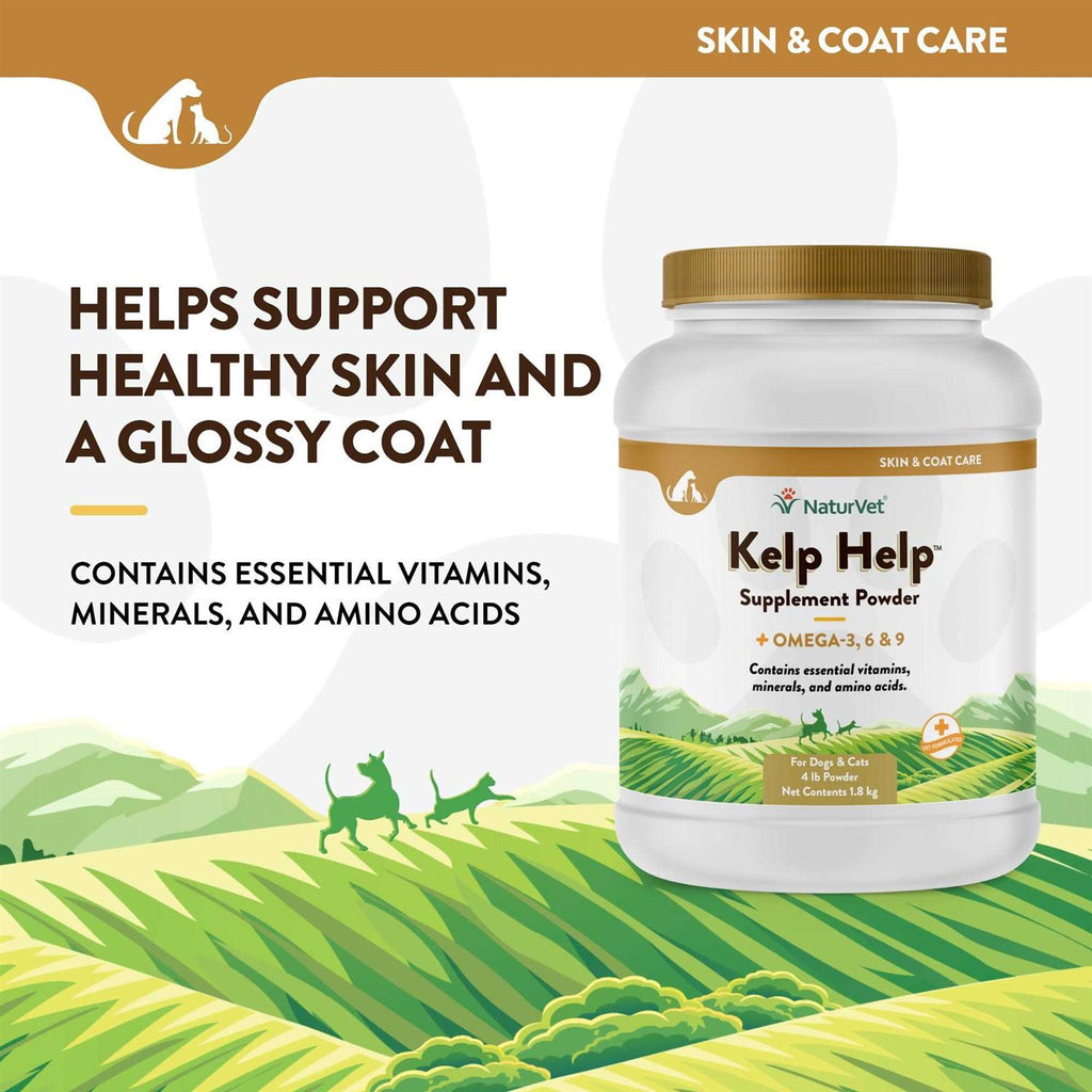 Kelp Powder K629