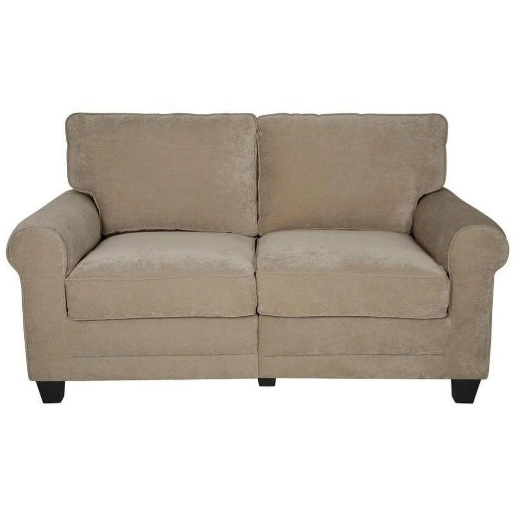 Velvet Loveseat with 2 Pillows G20133