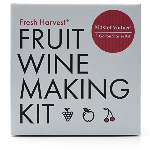 One Gallon Fruit Wine Making Kit G953