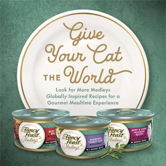 White Meat Chicken Florentine Wet Cat Food I41456