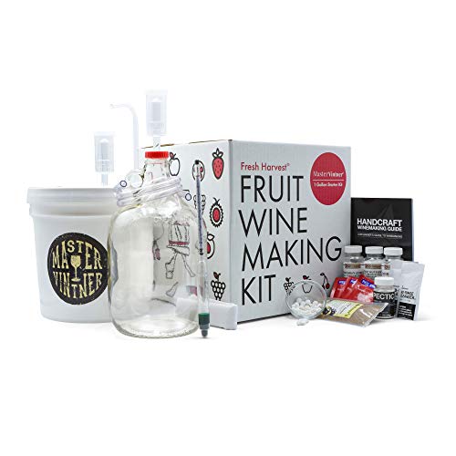 One Gallon Fruit Wine Making Kit G953