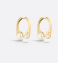 Earrings Y838