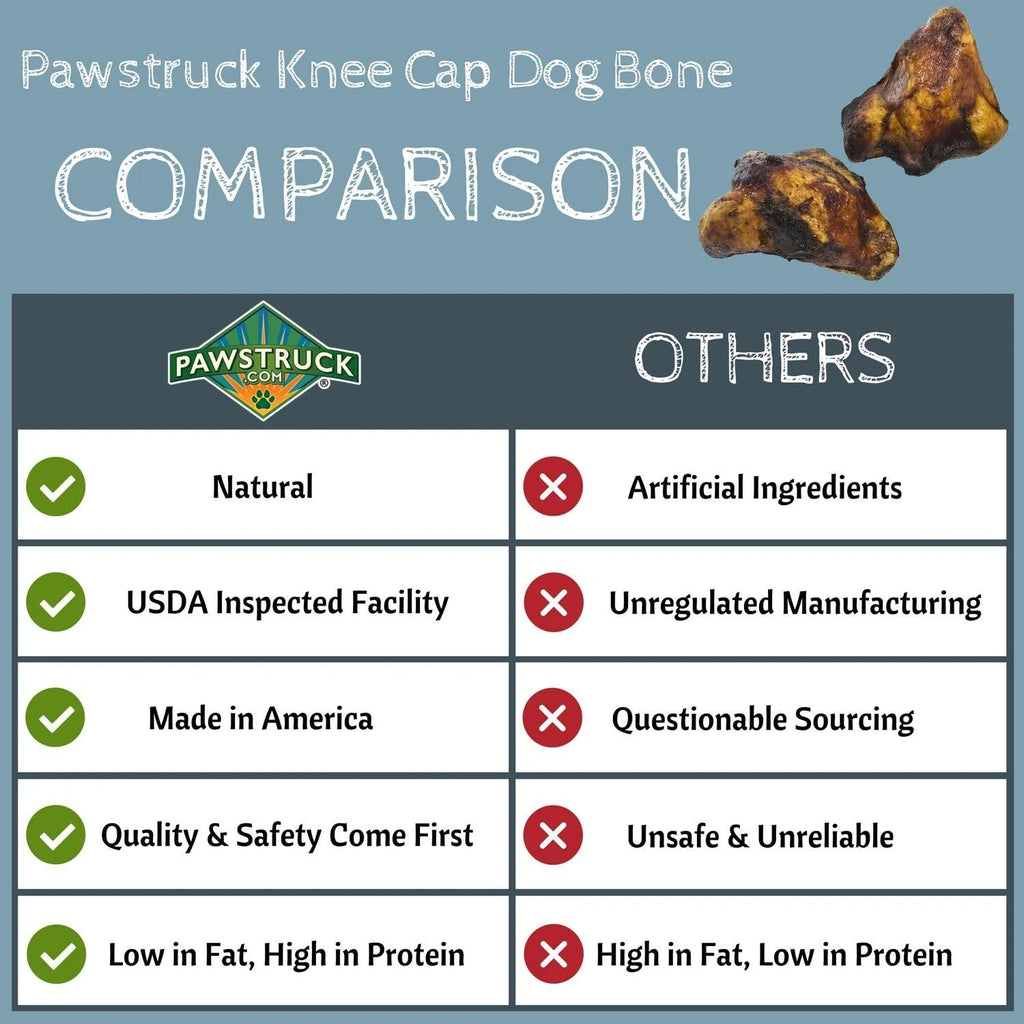 Natural Beef Knee Cap Bones for Dogs 10 Count D801