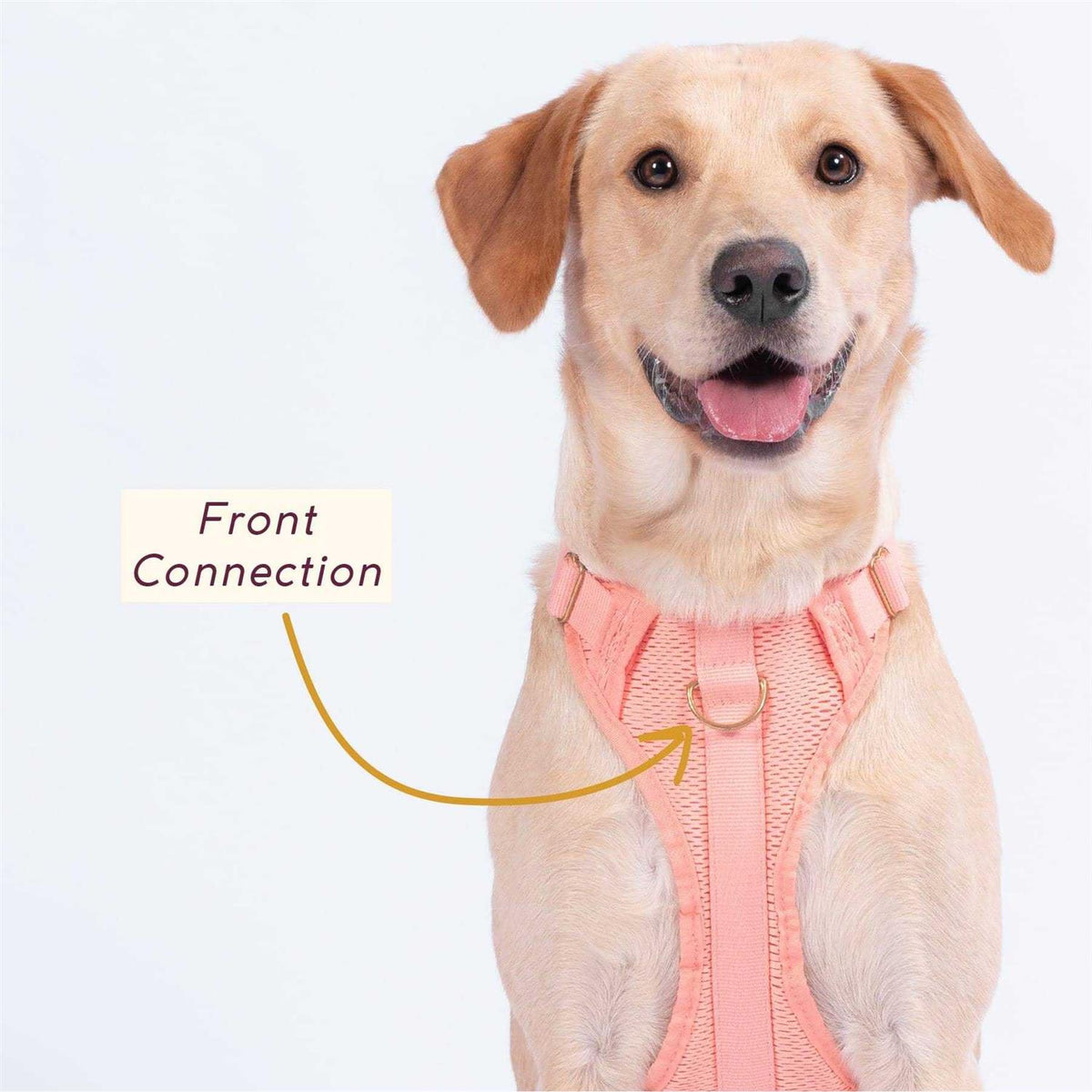 Pet Supplies F163