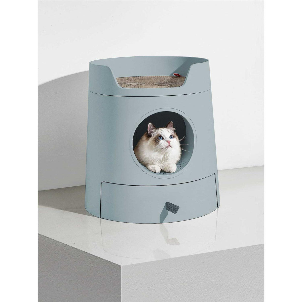 XL 2-in-1 Cat Litter Box with Scratch Basin K66777