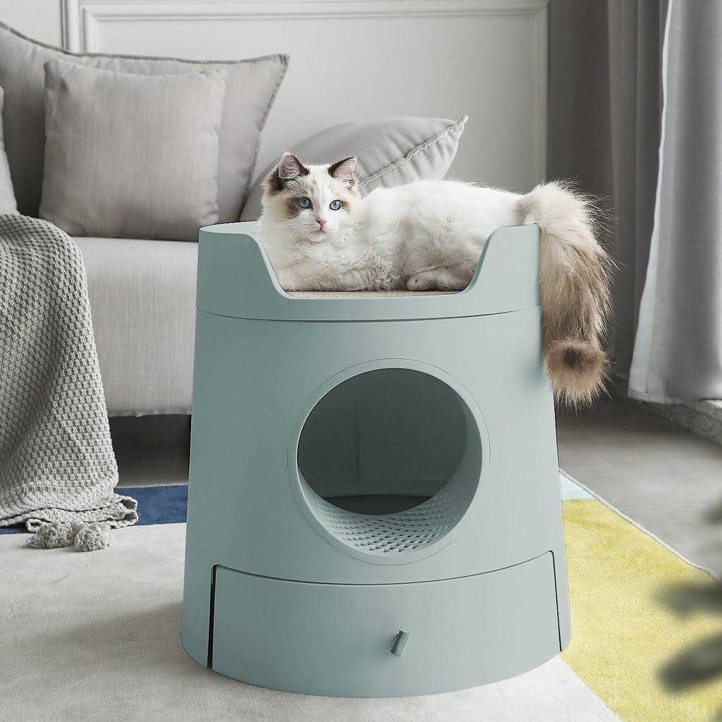 XL 2-in-1 Cat Litter Box with Scratch Basin K66777