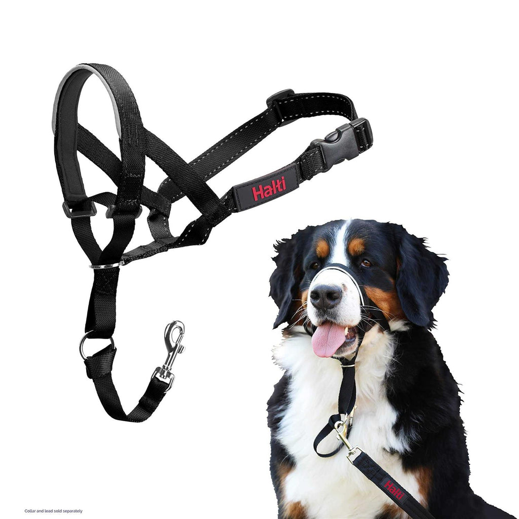 Headcollar D383427