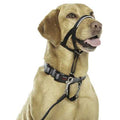 Headcollar D383427