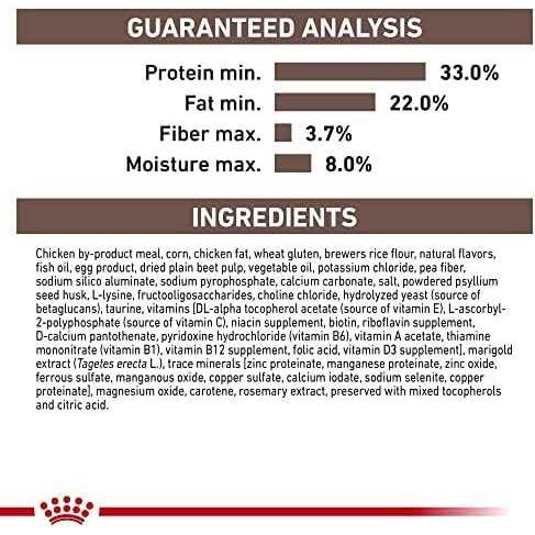 Kitten Dry Cat Food M6384