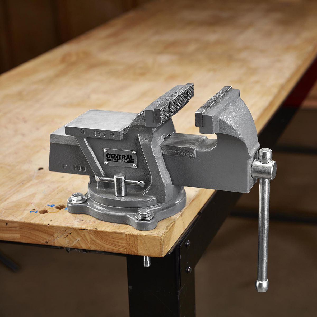 5 in. Swivel Vise with Anvil A21856