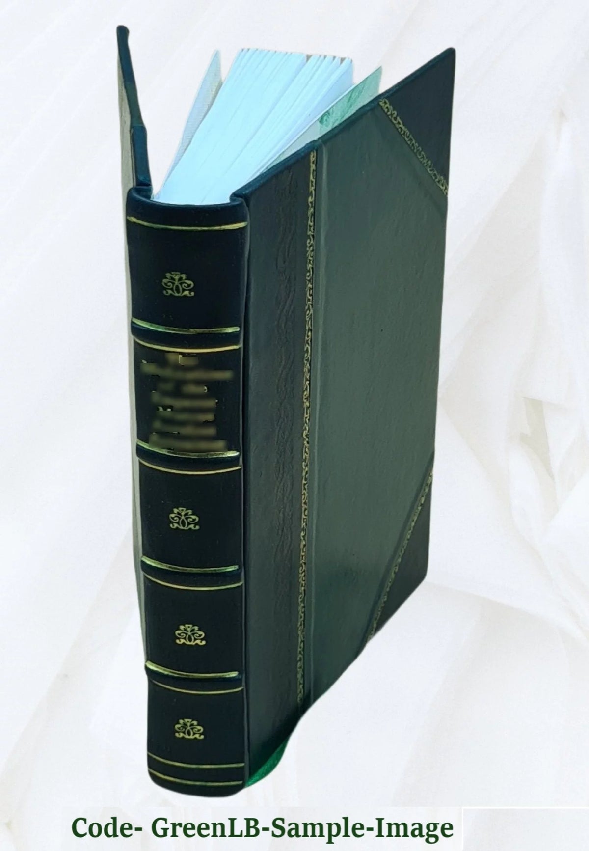 Leather Bound I963302