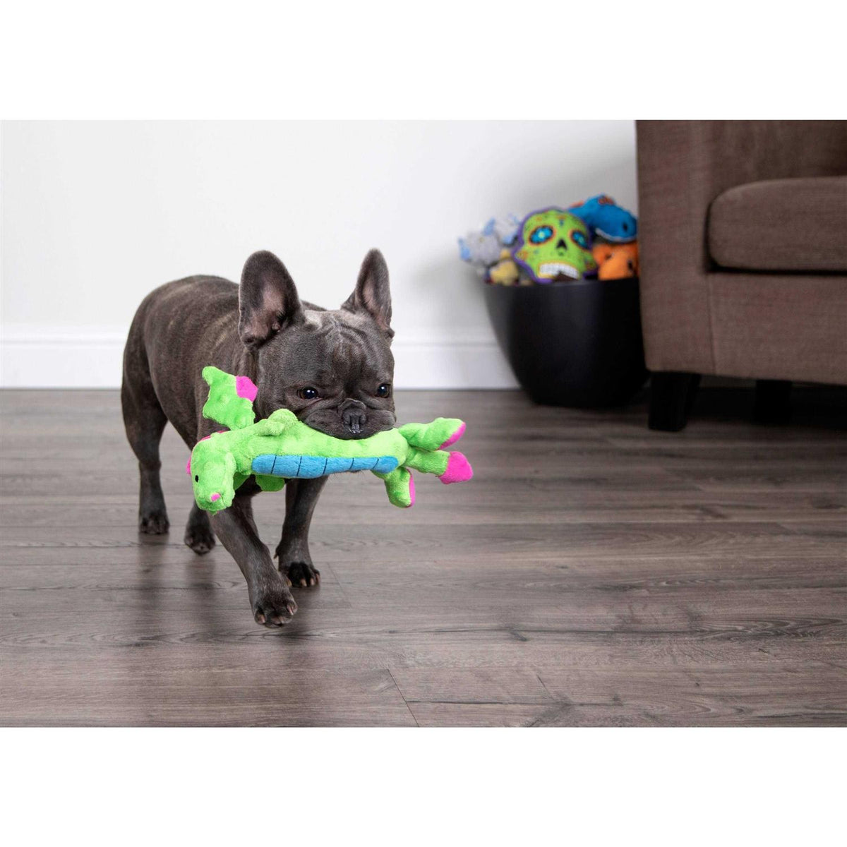 Dog Toy T4720